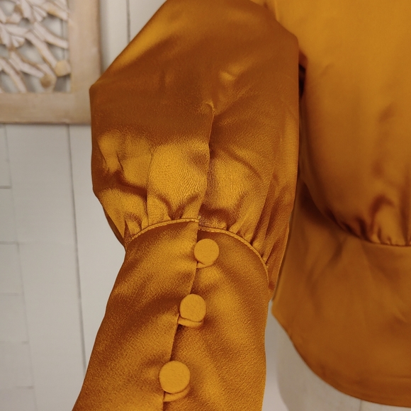 J CREW Warm Caramel Deep V-neck button-front top in satin-backed crepe Size 2 - Picture 4 of 5